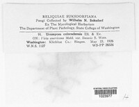 Image Associated With the Occurence